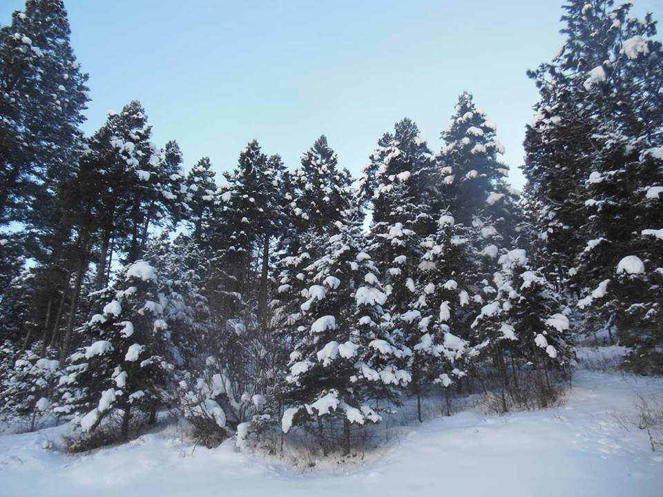 Jim's place 2016-01